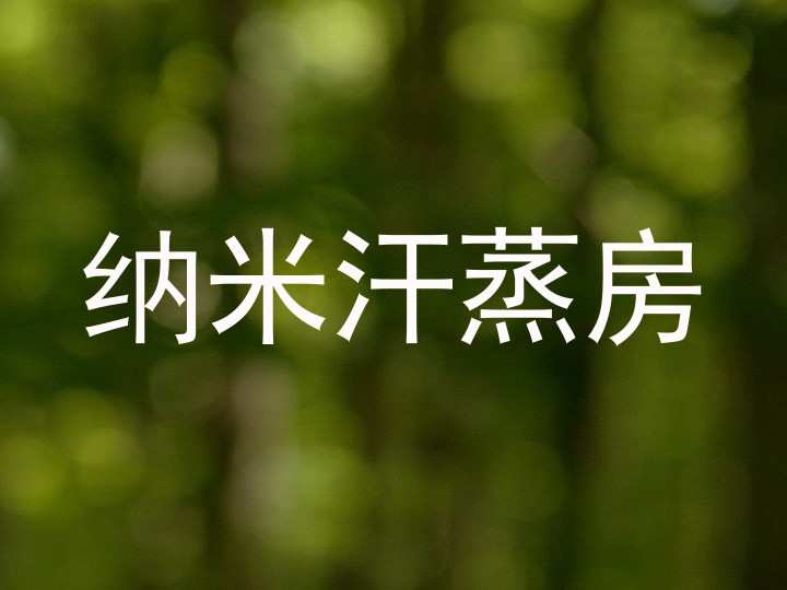 纳米汗蒸房
