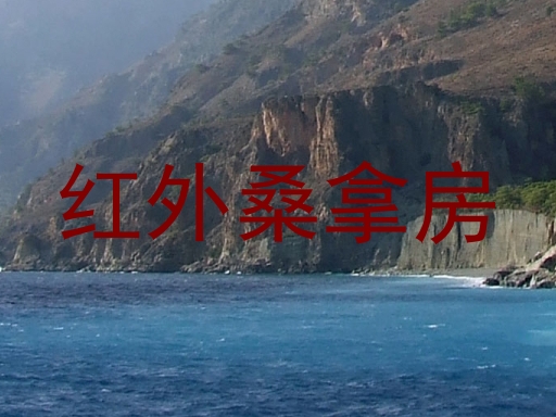 红外桑拿房