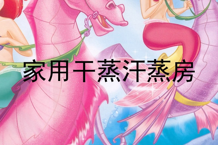 家用干蒸汗蒸房