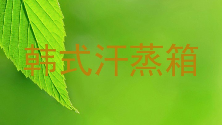 韩式汗蒸箱