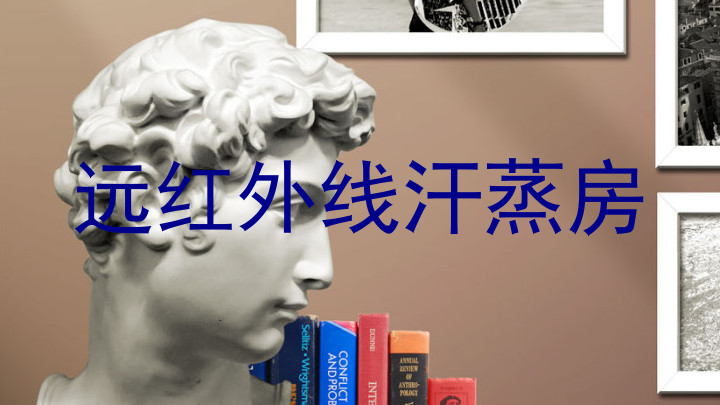 远红外线汗蒸房