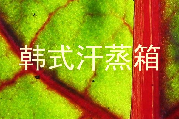韩式汗蒸箱