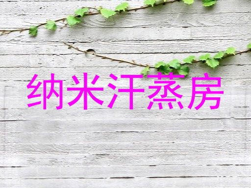 纳米汗蒸房