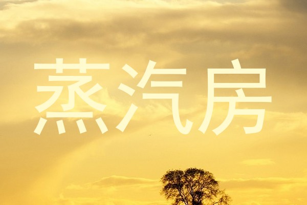 蒸汽房