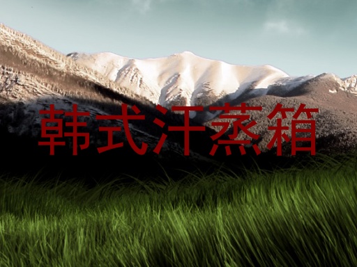 韩式汗蒸箱