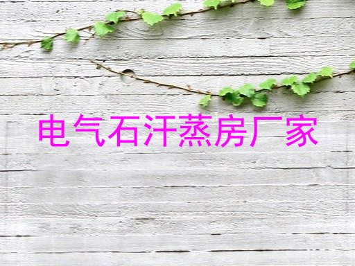 电气石汗蒸房厂家