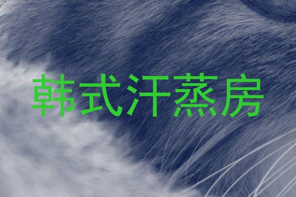 韩式汗蒸房