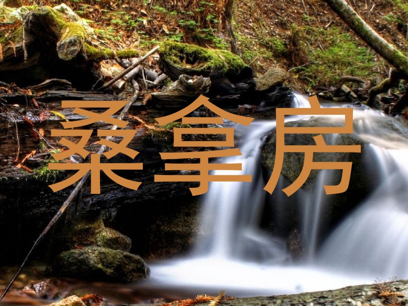 桑拿房