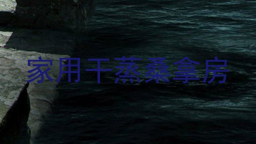 家用干蒸桑拿房