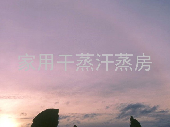 家用干蒸汗蒸房