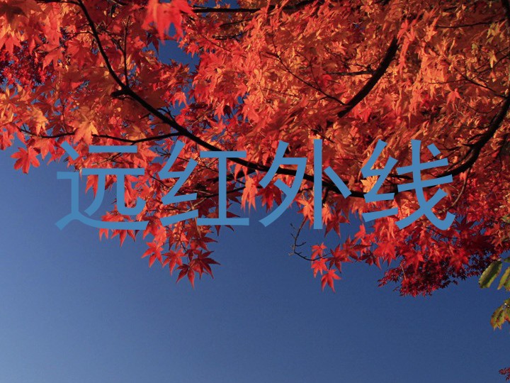 远红外线
