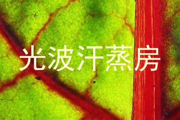 光波汗蒸房
