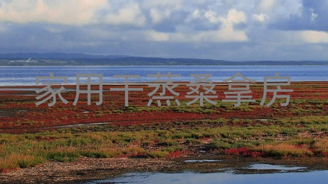 家用干蒸桑拿房