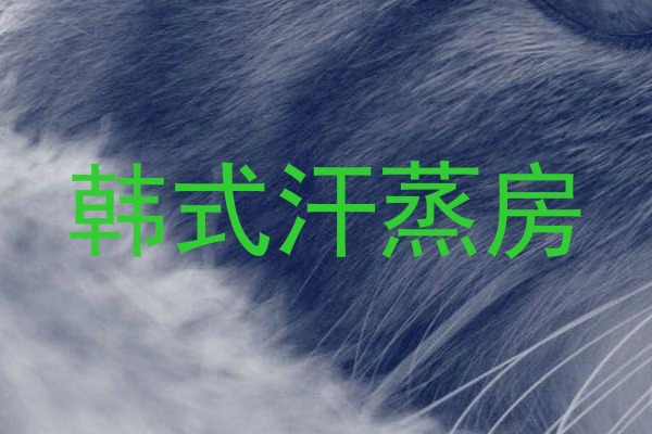 韩式汗蒸房