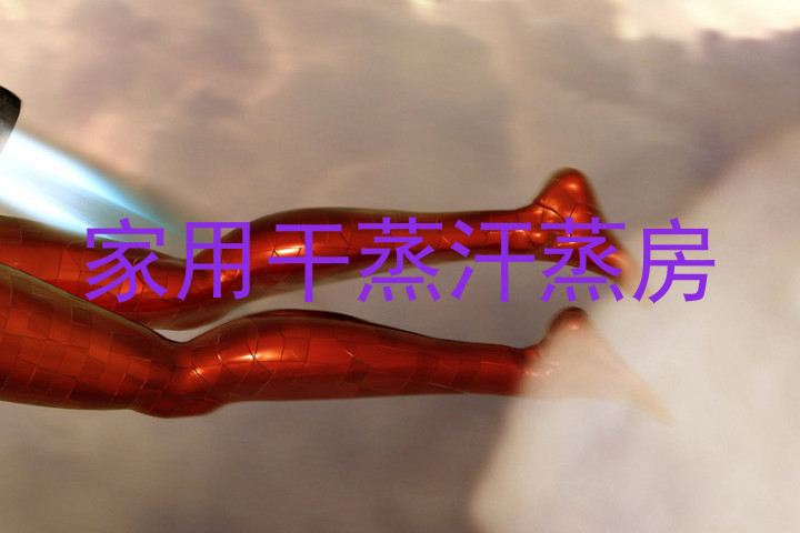 家用干蒸汗蒸房