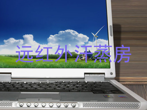 远红外汗蒸房