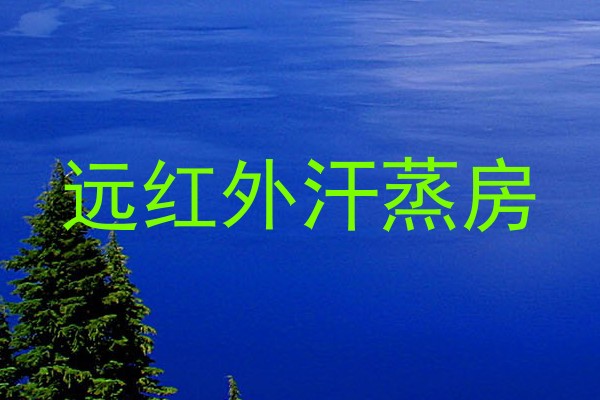 远红外汗蒸房