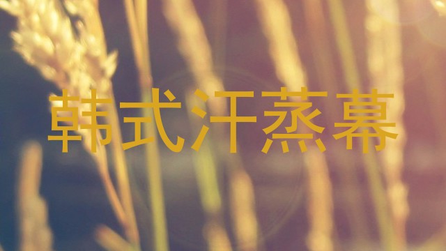 韩式汗蒸幕