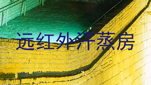 远红外汗蒸房