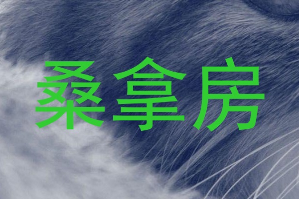 桑拿房