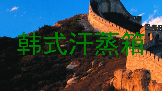 韩式汗蒸箱