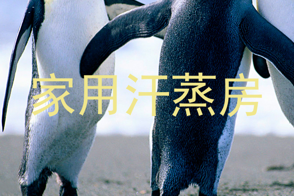家用汗蒸房