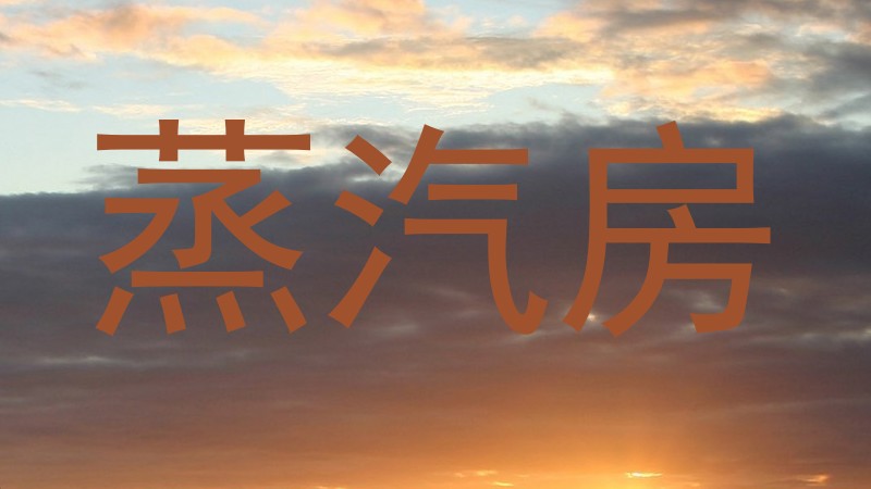 蒸汽房