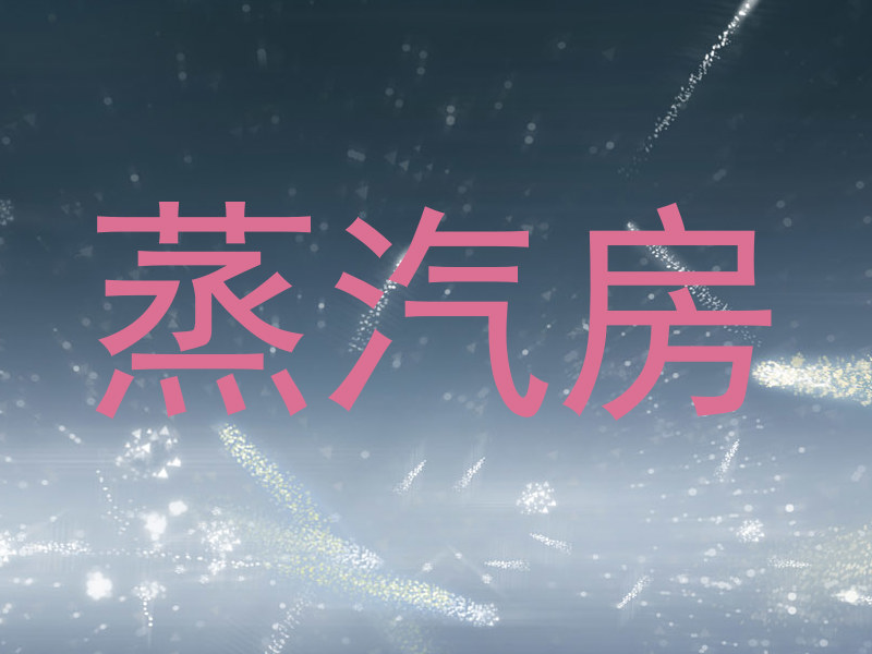 蒸汽房