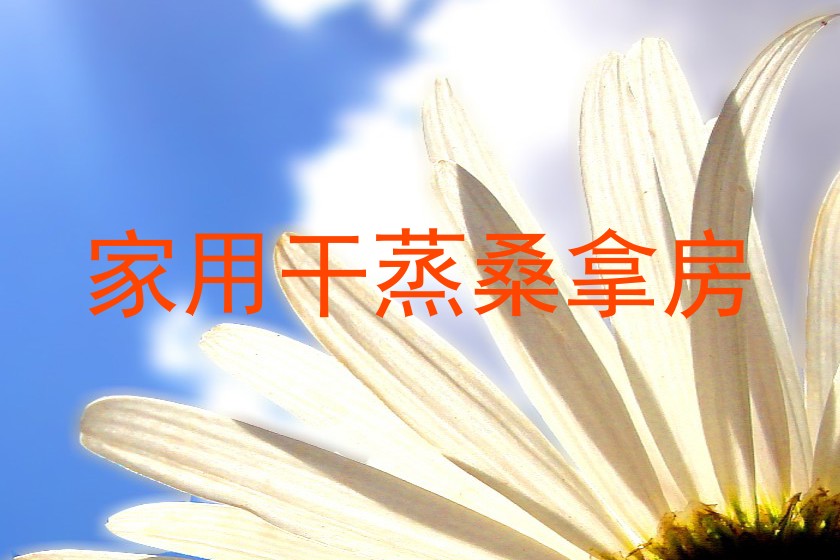 家用干蒸桑拿房