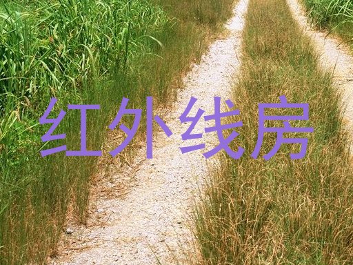 红外线房