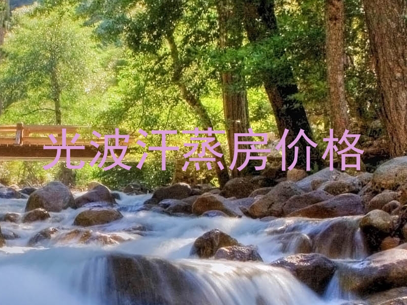 光波汗蒸房价格