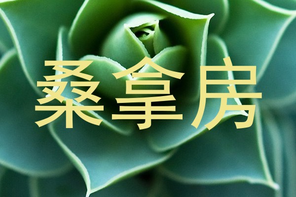 桑拿房