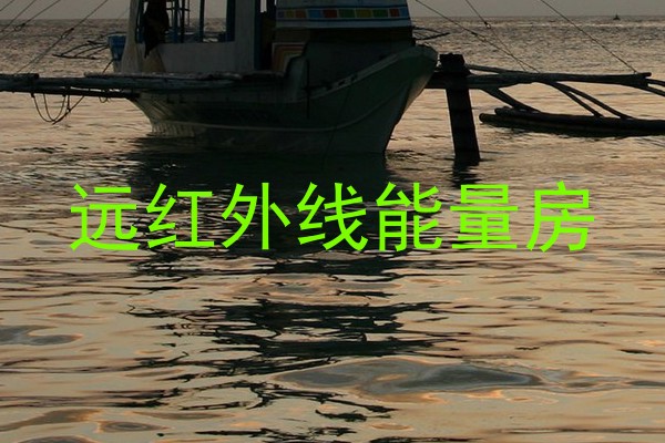 远红外线能量房