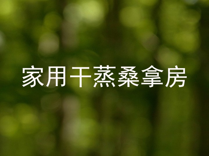 家用干蒸桑拿房