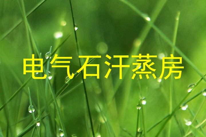 电气石汗蒸房