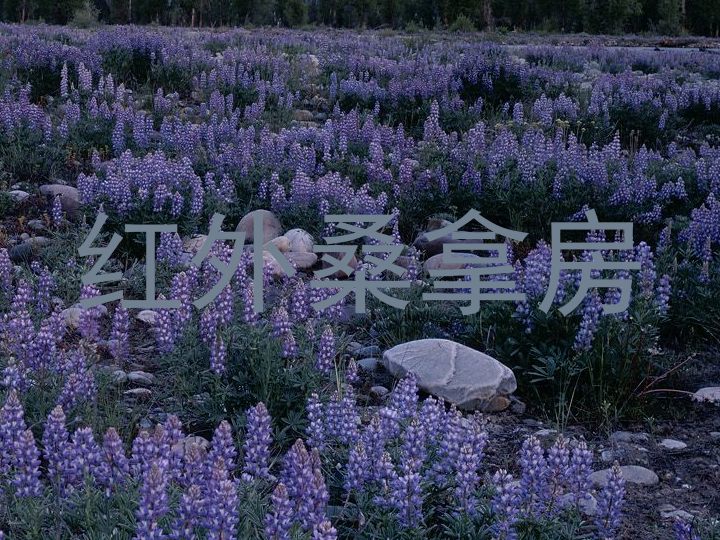 红外桑拿房