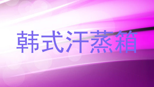 韩式汗蒸箱