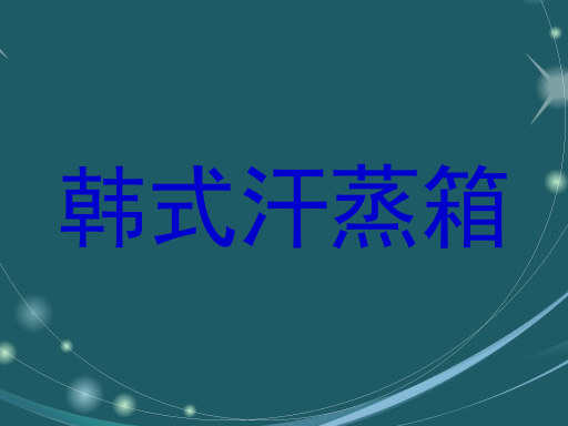 韩式汗蒸箱