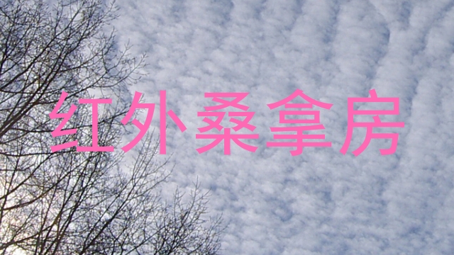 红外桑拿房
