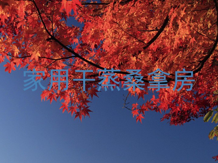 家用干蒸桑拿房