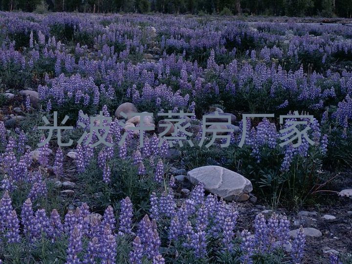 光波汗蒸房厂家
