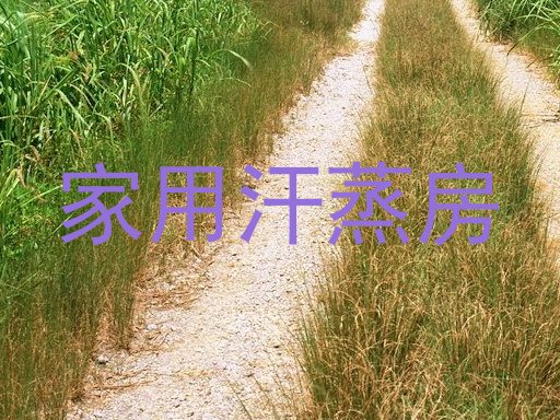 家用汗蒸房