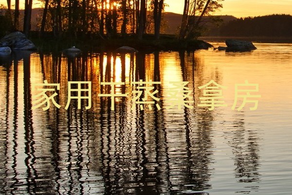 家用干蒸桑拿房