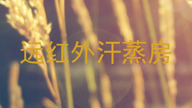 远红外汗蒸房