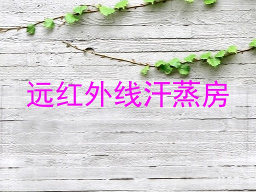 远红外线汗蒸房