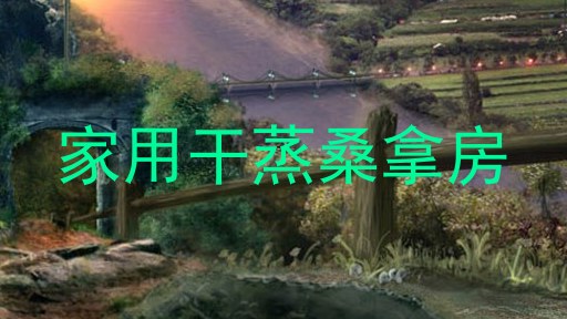 家用干蒸桑拿房