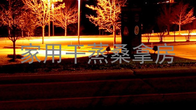 家用干蒸桑拿房