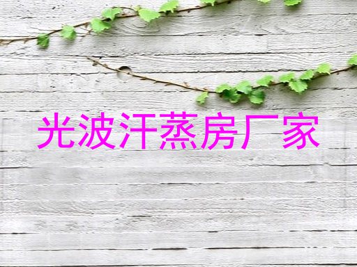 光波汗蒸房厂家