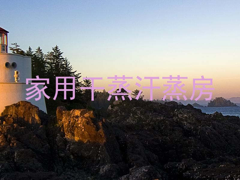 家用干蒸汗蒸房