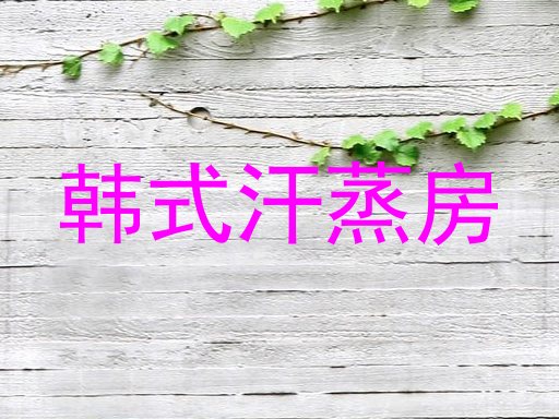 韩式汗蒸房